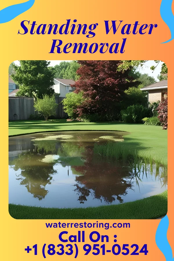 Standing Water Removal in Arkansas City, KS